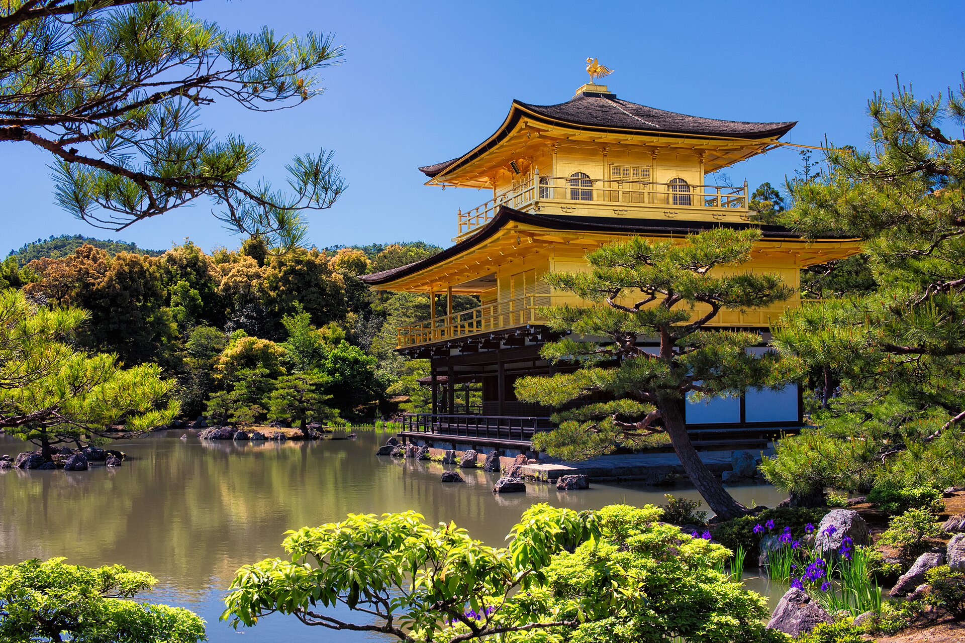 The Golden Pavilion mirrored on the still surface of the pond
