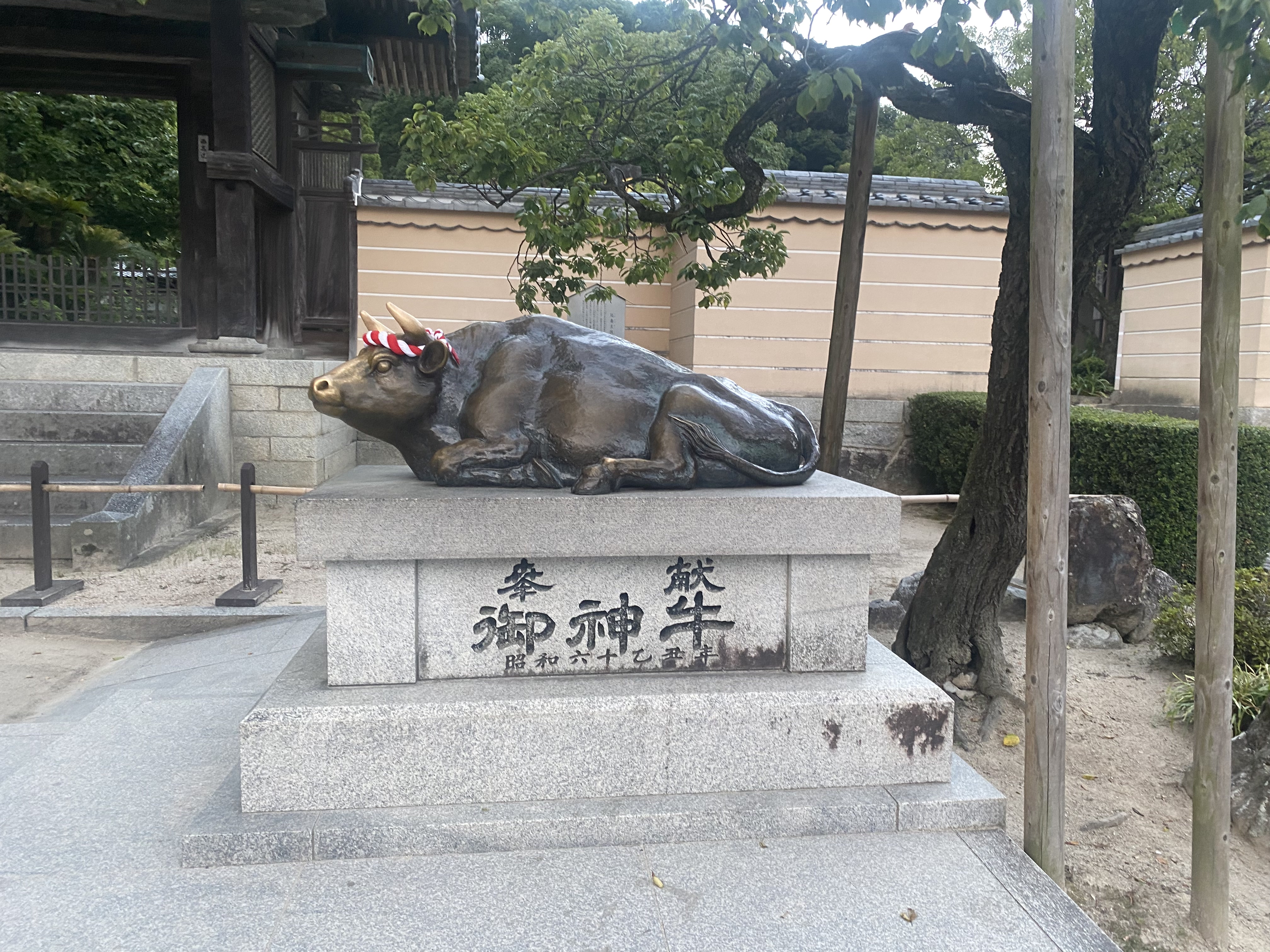 A bronze reclining ox (nade-ushi) at Dazaifu Tenmangu, its head polished by visitors' hands