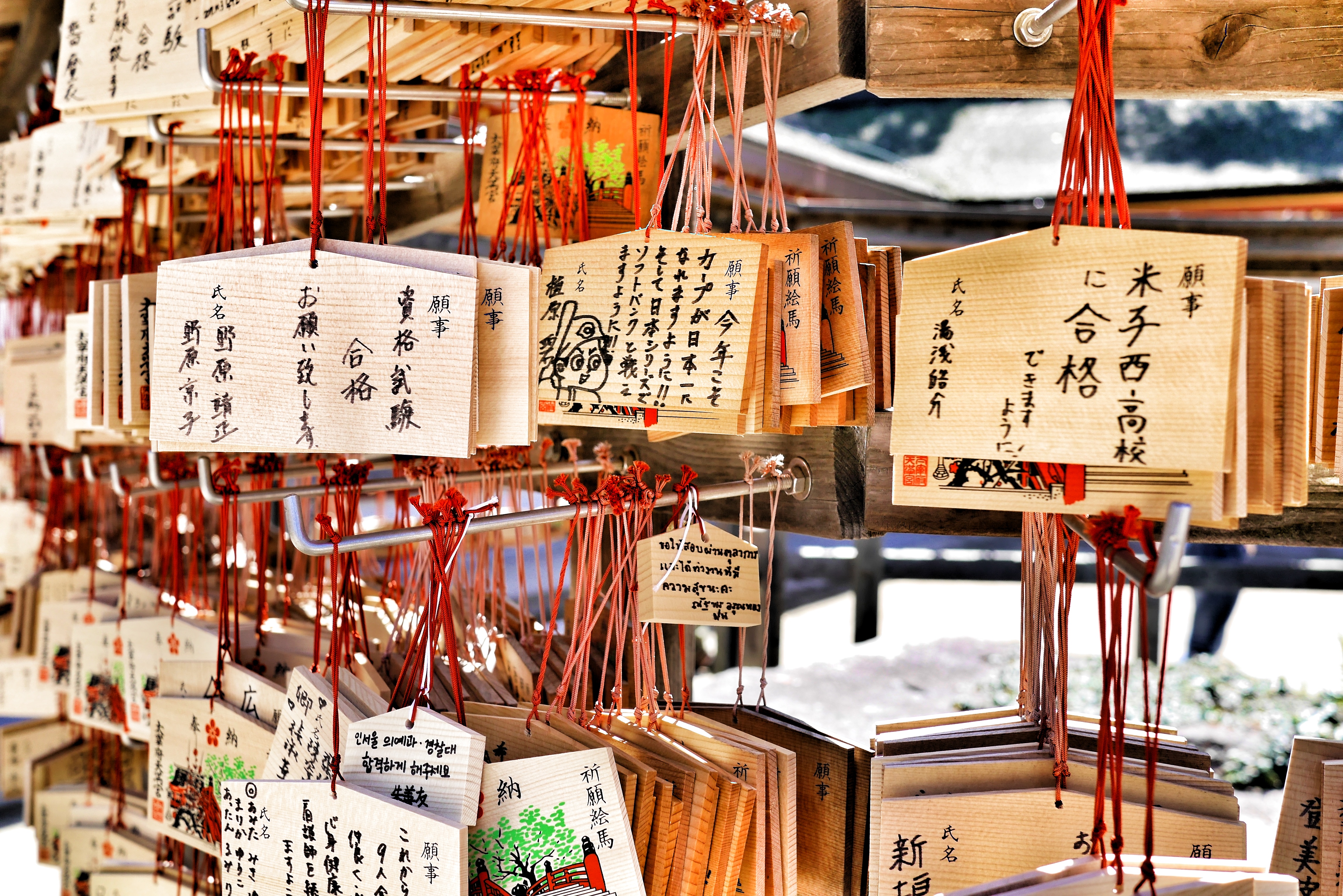 Rows of wooden ema votive plaques hanging on a rack at a Japanese shrine