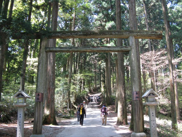 A wooden torii over a cedar-lined shrine approach