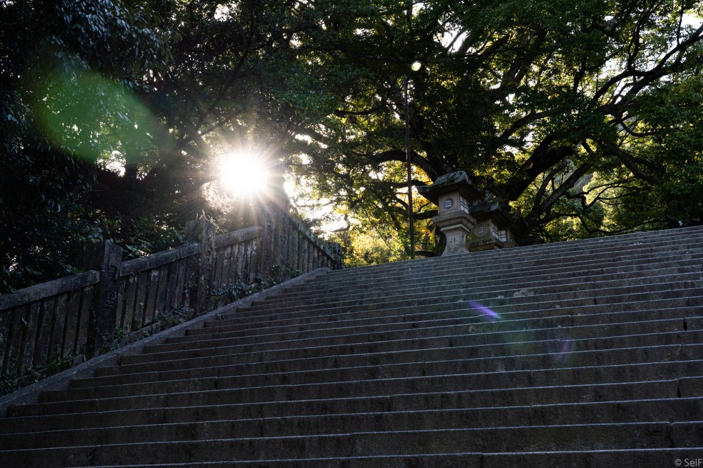 A wide stone stairway with stone railings climbing under large trees at Kotohira-gu, with the sun shining through the leaves